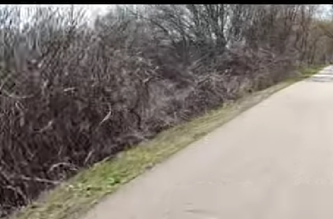 The fatal head-on railroad crash near Chaska,بنت فضائح خليجيه تتمتع مع ولد 2024  Minnesota in 1904