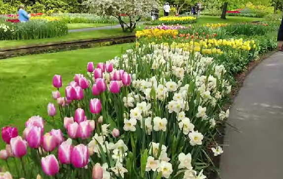 سكس الممثله شيماء الحاج ومنى تظهر كسها وطيزها Keukenhof Netherlands2024