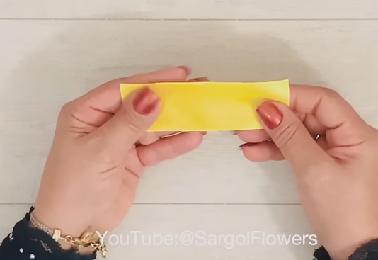 سكس انجي خوري تقتح كسها وطيزها باصبعها ake ribbon rose | Ribbon