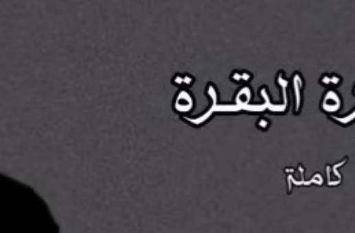 سكس عربي 2024 سورة البقرة مرتلة كاملة الشيخ محمد صديق المنشاوي