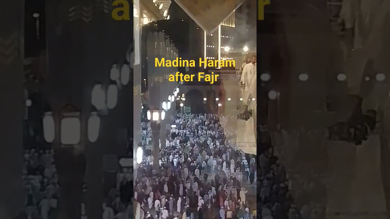 Madinah  Haram Morning Views Top Roof after Fajr prayer |Masjid Nabawi Sharif