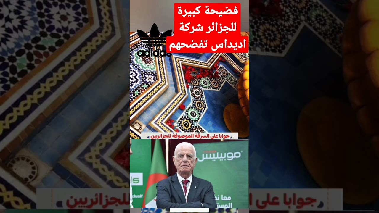 فضيحة كبيرة للجزائر شركة اديداس تفضحهم 🤣