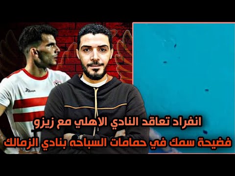 انفراد تعاقد النادي الاهلي مع زيزو وشغل السرينه🚨فضيحة سمك وحشرات في حمامات السباحة بنادي الزمالك