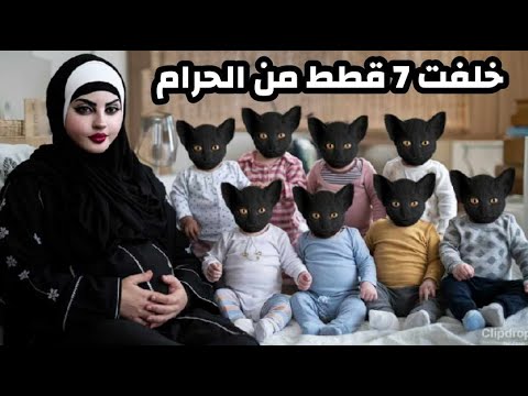 الزوجه خلفت 7 قطط  من الحرام وكانوا بياكلوا فراخ حية والنهايه صدمت الجميع