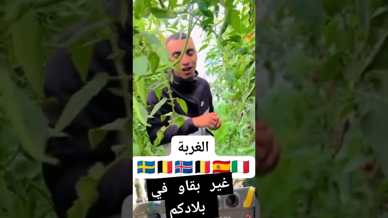 غير بقاو في بلادكم