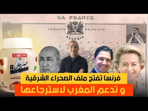 فضيحة مدوية لتبون من داخل الاتحاد الاوروبي،فرنسا تفتح ملف الصحراء الشرقية و تدعم المغرب لاسترجاعها