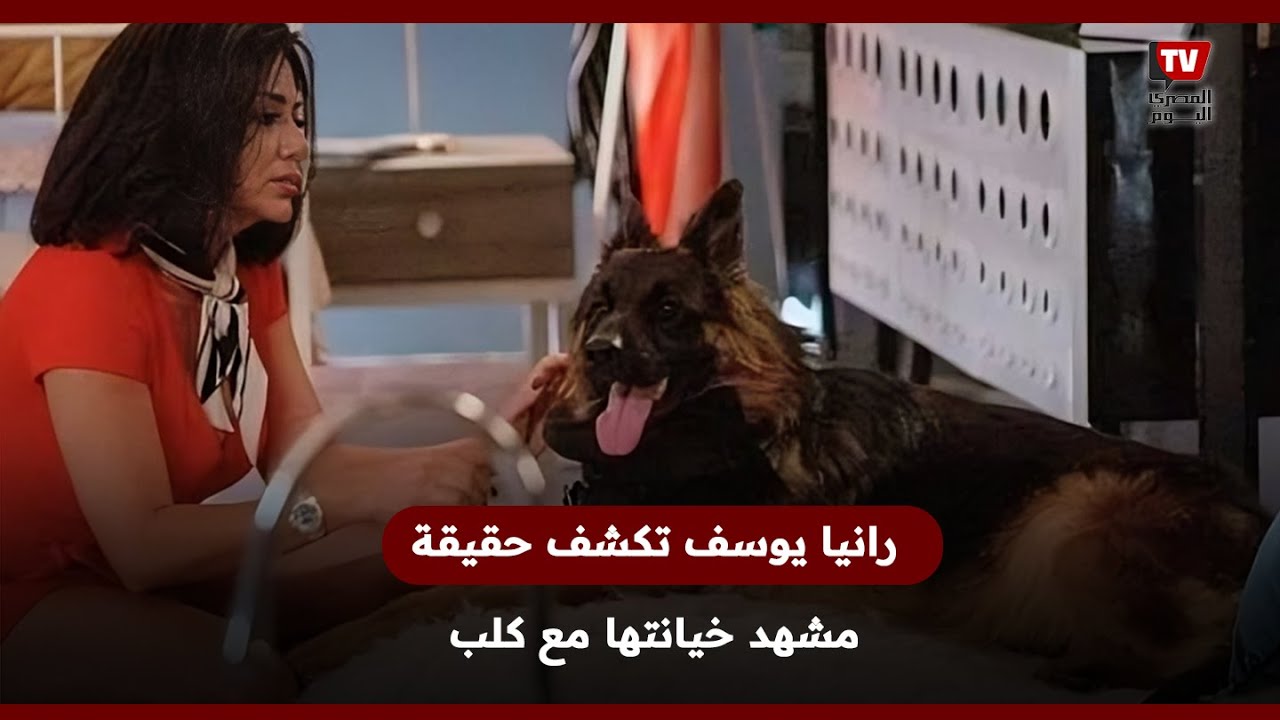 رانيا يوسف تكشف حقيقة مشهد  خيانتها  لزوجها مع كلب