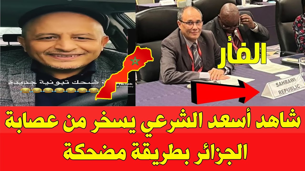 شاهد أسعد الشرعي يسخر من كابرنات الجزائر بعد فضيحة اليابان بطريقة مضحكة