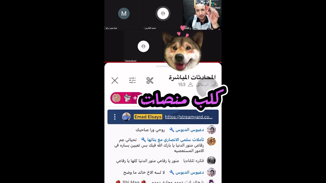 اهانة كلب منصات