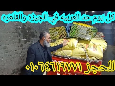 شروط التعامل معنا في نقلة الاحد القاهره والجيزه لعدم الخساره ومضيعة الوقت