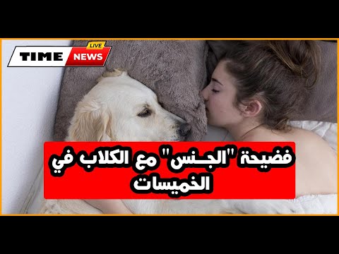 ممارسة الجنس مع الكلاب مقابل 2000 درهم   فضيحة أفلام جنسية في الخميسات بطلها ابن مسؤول قضائي