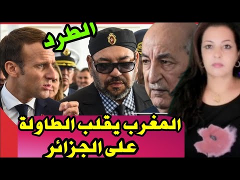 ⛔ نايضة‼️ بوريطة يكشف حقائق خطيرة عن قضاة محكمة العدل الأوروبية،طرد ممثلة الجزائر و فضيحة دومير🤔