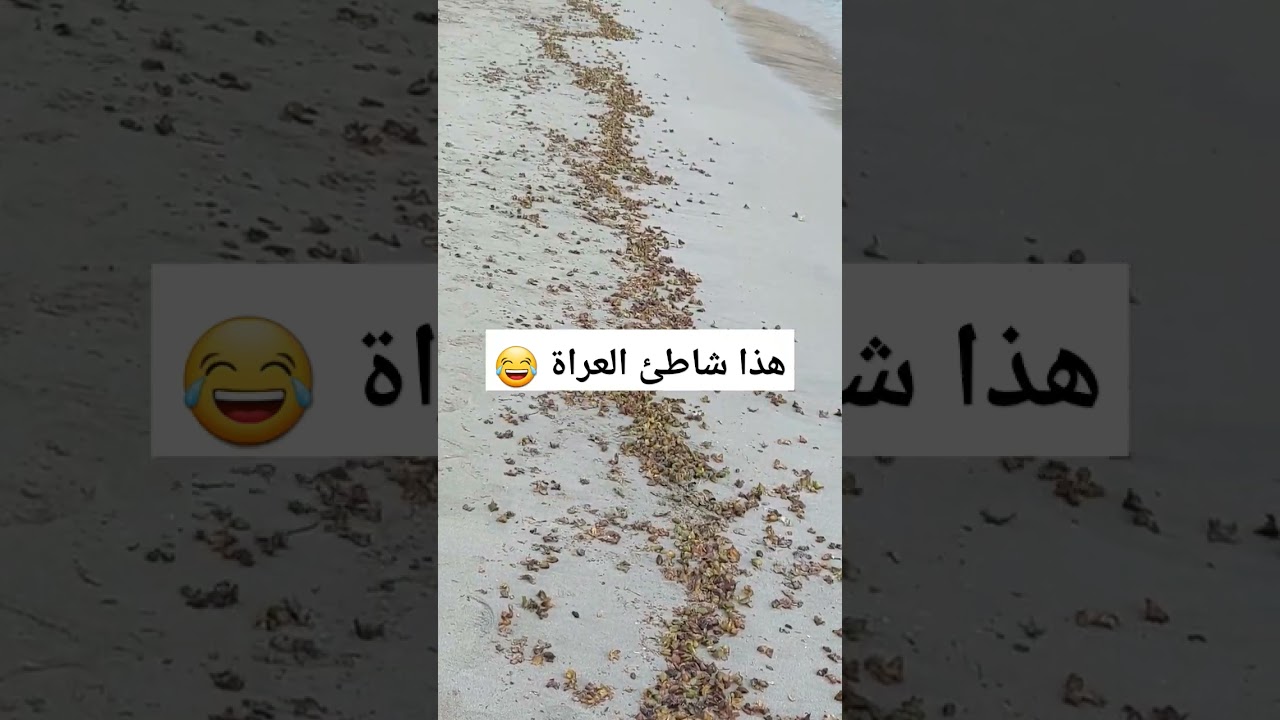 شاطئ العراة في موزمبيق 😂 #هاشتاقات #explore #fishing #mydubai #العراق #insidedubai #religion #short