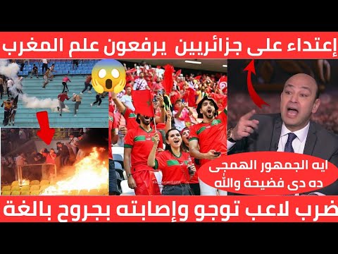 فضيحة كبري🔴 جمهور الجزائر يعتدي على جزائريين يرفعون أعلام المغرب فى مباراة الجزائر وتوغو مشهد مؤسف