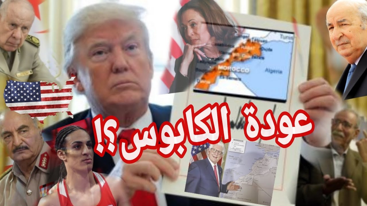 عودة ترامب ترعب النظام الجزائري 🇩🇿 ترقب في المغرب 🇲🇦 وإيمان خليف يقتحم الانتخابات الأمريكية 🇺🇸🇺🇸