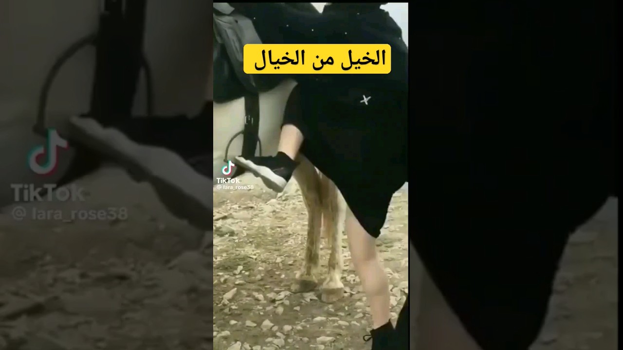 الخيل من خيالها