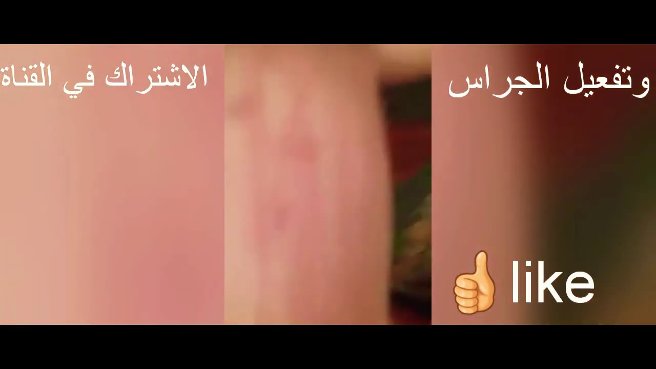 فضيحة😲 شاب الذي اعتداء الفتاة داخل منزله😲 best friend