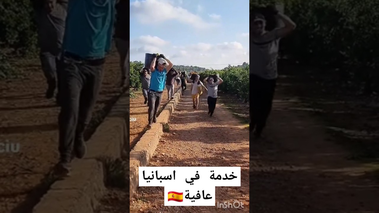 خدمة في اسبانياعافية🇪🇸