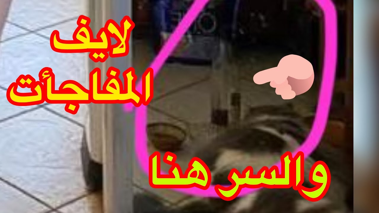 يا مساء المفاجآت 🎤📣👌💯